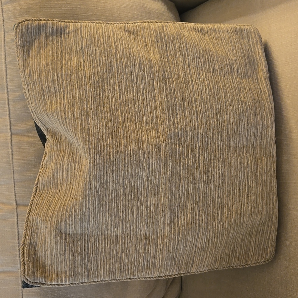 Beautiful Neutral Accent Pillow Cover